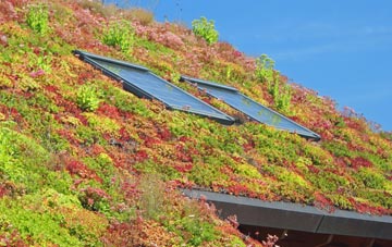 Crugybar living roof systems